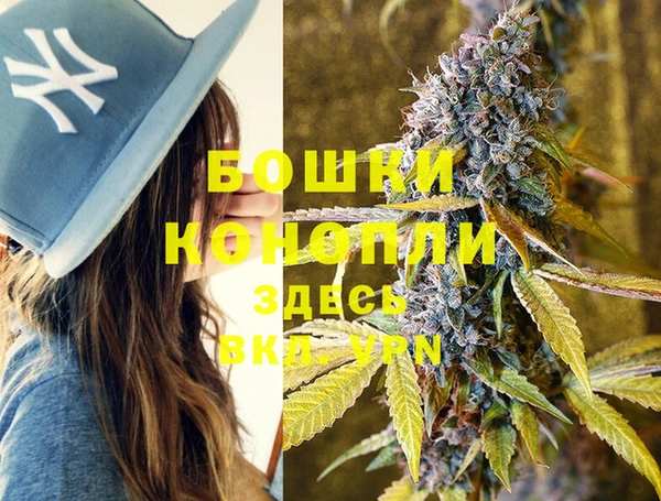 ешки Нефтегорск