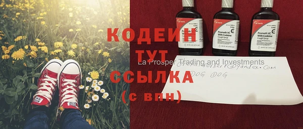 крисы Яранск
