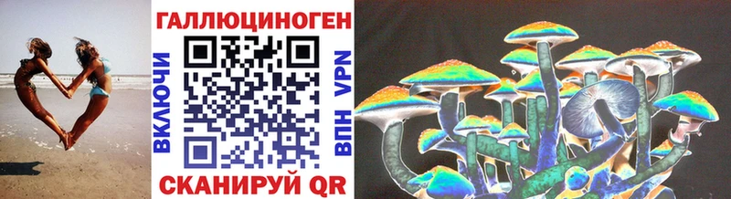 Псилоцибиновые грибы Psilocybe  MEGA онион  Сланцы  что такое  
