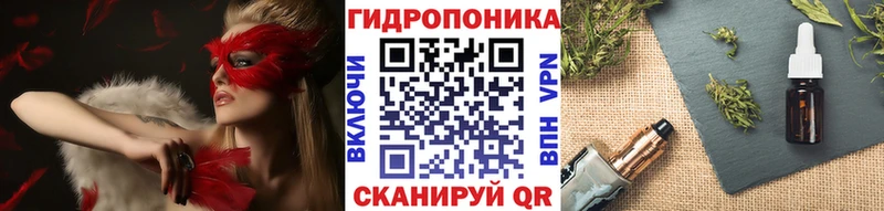 Конопля марихуана  Сланцы 